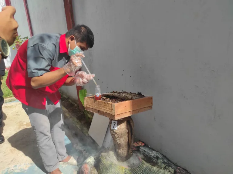 Foto : Proses panen madu kelulut di Lapas Narkotika Kelas IIA Samarinda oleh salah satu warga binaan.