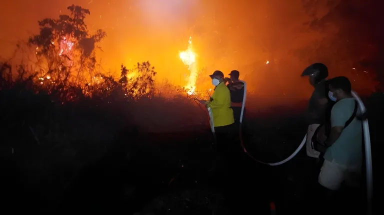 Karhutla terjadi di area perkebunan kelapa sawit milik PT Prima Mitrajaya Mandiri. Tepatnya di Desa Bukit Jering, Kecamatan Muara Kaman, Kabupaten Kutai Kartanegara, Kalimantan Timur pada Kamis (29/2/2024).
