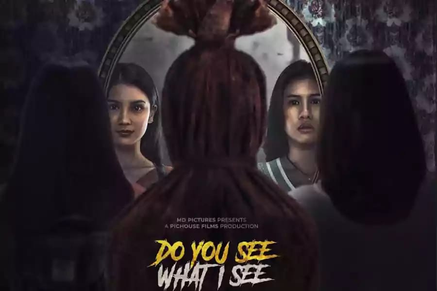 Film "Do You See What I See".