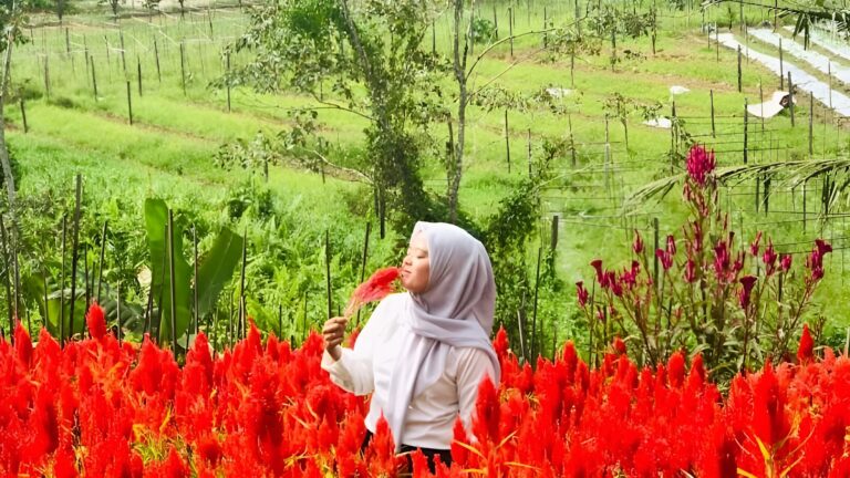 Foto: Salah satu pengunjung saat lakukan swafoto di Agrowisata Swargo Tani milik desa Tani Bhakti Kecamatan Loa Janan. (Istimewa)