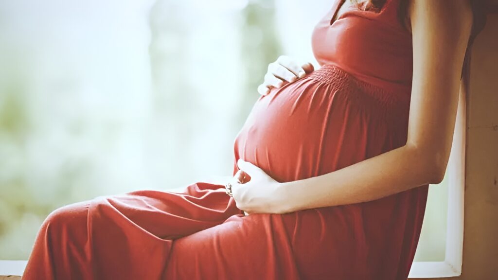 Ilustrasi Ibu Hamil.