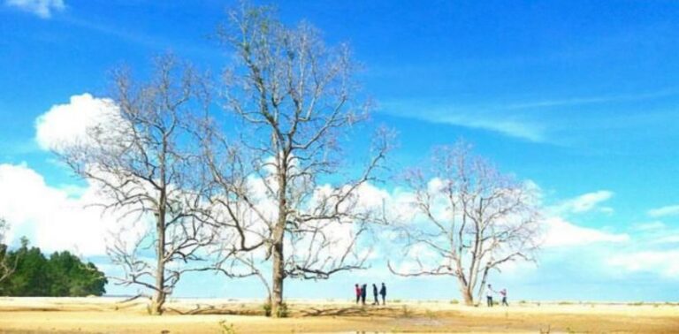 Foto : Suasana kunjungan wisatawan di Pantai Tanah Merah Samboja (Istimewa)