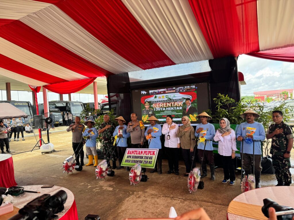 Foto: Program Penanaman Jagung seluas 1 juta hektar secara serentak.